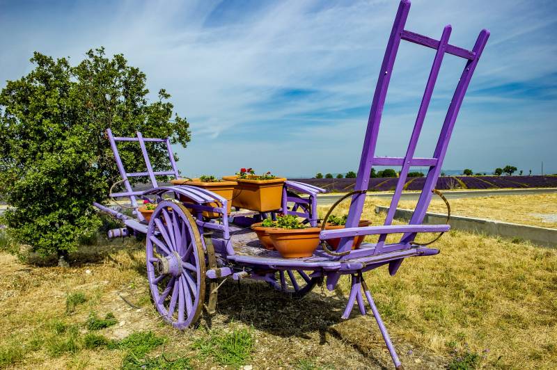 Taxi excursion touristique Valensole 